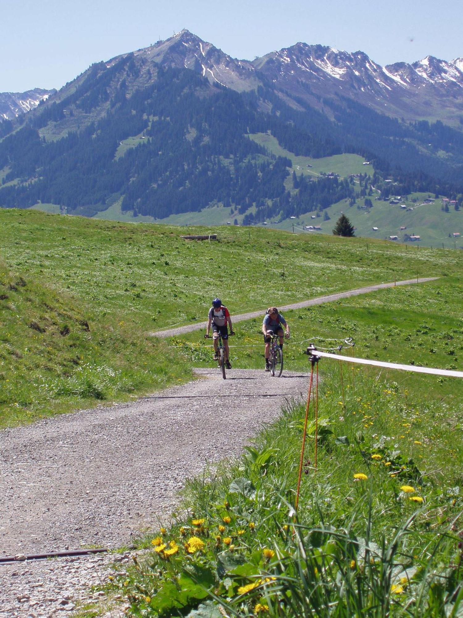 Gaestehaus Zur Faerbe Apartments Oberstdorf Exteriér fotografie